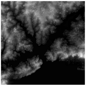 Merged DSM.png